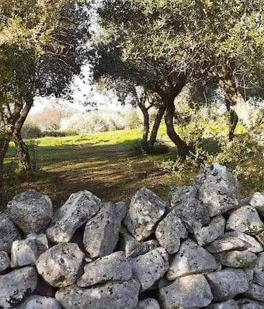 Apartamento Trulli42 Martina Franca